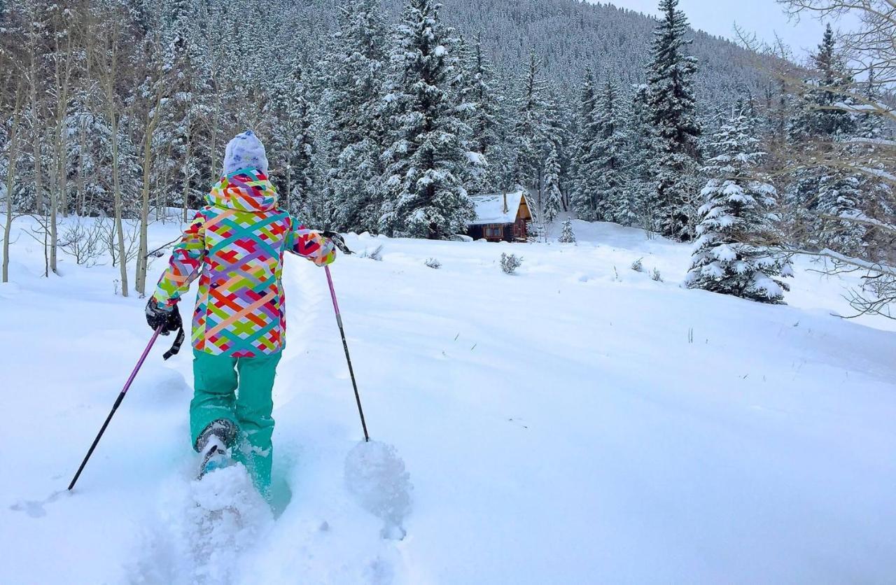 Pioneer Guest Cabins Crested Butte Exterior foto